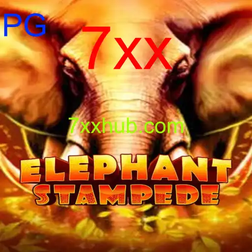 ElephantStampede